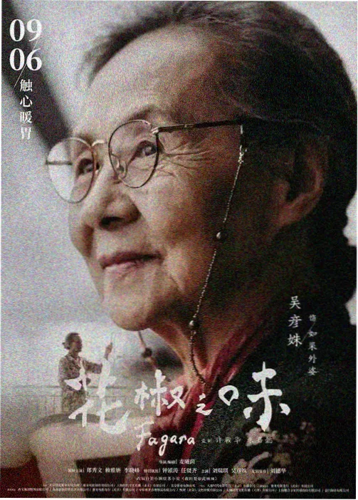 晚风心动纪事